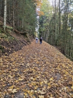 IMAGE 2024-11-24 18_41_38.jpg